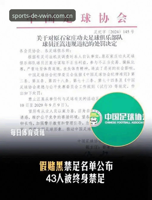德赢手机版下载 17名足坛终身禁足全解析:从俱乐部高管到球员的3大警示信号